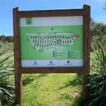 2 En Bois Dans Les Landes N34 * Tosse