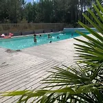 2 En Bois Dans Les Landes N34 Tosse