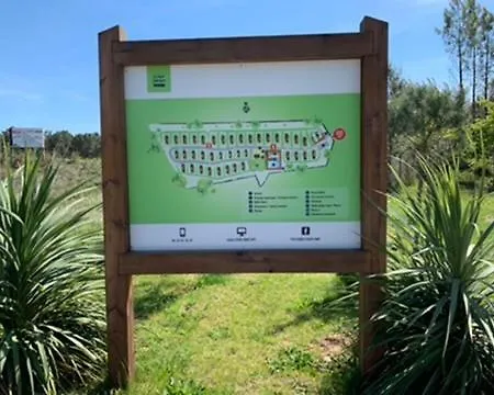 2 En Bois Dans Les Landes N34 * Tosse