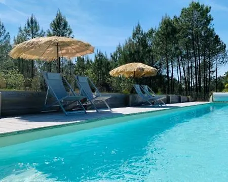 2 En Bois Dans Les Landes N34 Chalet