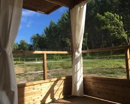 2 En Bois Dans Les Landes N34 Chalet Tosse