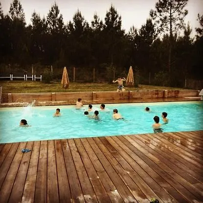 Chalet 2 En Bois Dans Les Landes N34 Tosse