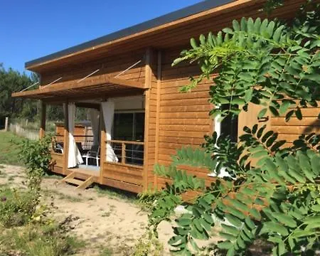 2 En Bois Dans Les Landes N34 Tosse