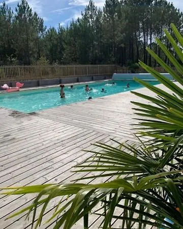 2 En Bois Dans Les Landes N34 Tosse
