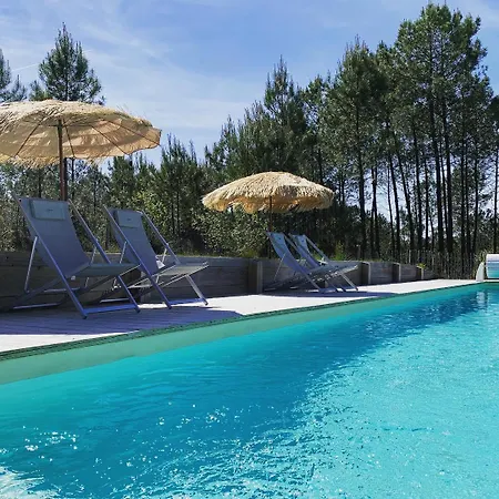 2 En Bois Dans Les Landes N34 Chalet