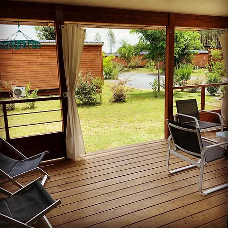2 En Bois Dans Les Landes N34 * Tosse
