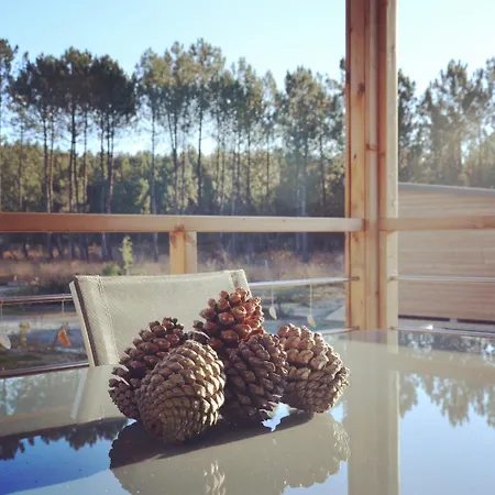Chalet 2 En Bois Dans Les Landes N34